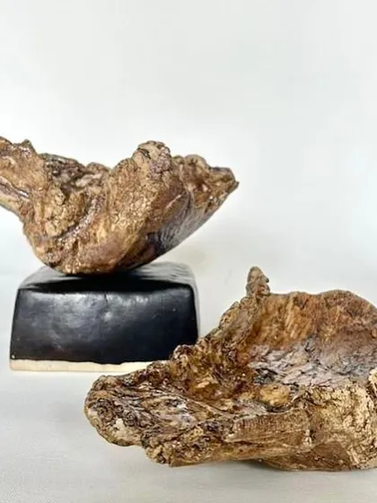These sculptural bowls have a raw, earthy texture that reminds me of tree bark. They are hand-formed and designed to bring a piece of nature indoors.