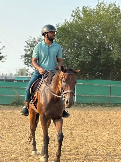 A rider guides his horse through the arena, a great shot of our beginner lessons in action.
