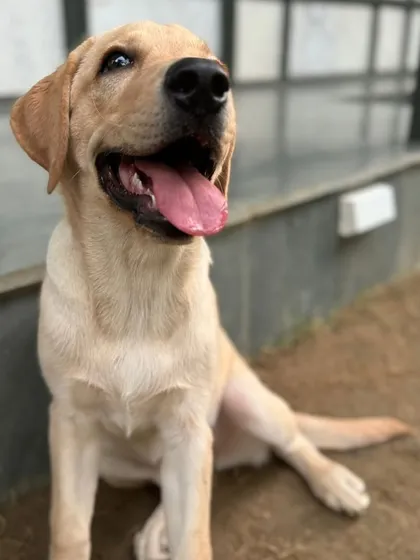 Coco looking up with pure joy. We love you, baby girl.