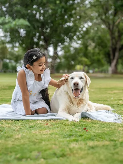 A young girl gently brushes the fur of Ice, a sweet senior Labrador. This outdoor portrait captures a moment of calm and tenderness, showing the gentle friendship between a child and an older, loving dog.