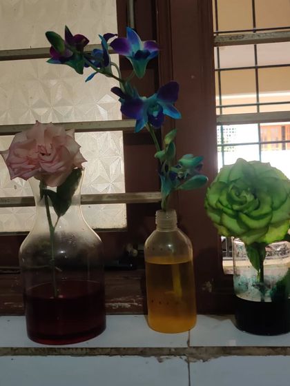 Ken Montessori - Montessori Summer Camp Science & Discovery photo 3