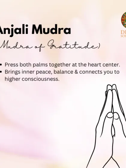 Anjali Mudra is the Mudra of Gratitude. Pressing both palms together at the heart center is a universal gesture of respect and connection that brings inner peace and balance.