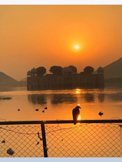 The sun sets over Jal Mahal, the Water Palace, in Jaipur. A bird silhouetted on a fence in the foreground adds a poetic touch to this beautiful landscape.