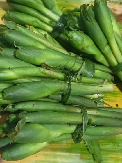 Stacks of edible green buds, tied and ready for the kitchen. These are used to add a unique texture and flavor to traditional dishes.