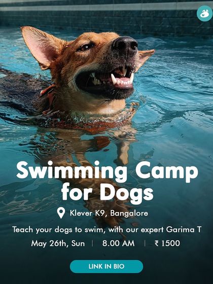 The Pack - Pet Parent Education & Workshops Join the Pack: In-Person Events (Bangalore) photo 9