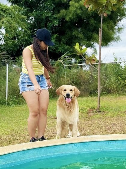 The Pawsome Camp - Dog Park & Pool Paws & People: A Community of Dog Lovers photo 16