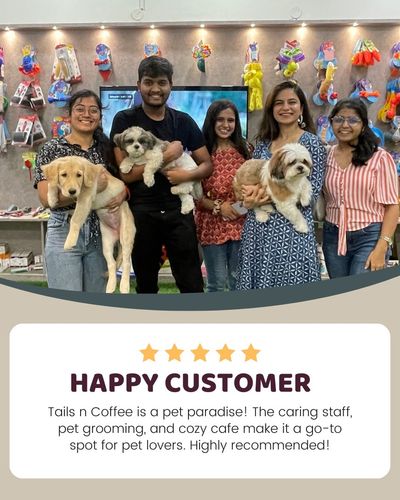 Pet Adoption Services