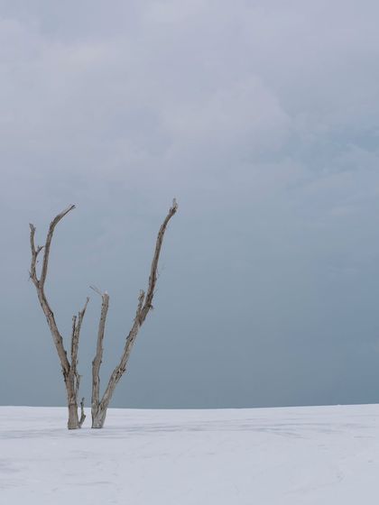 RK Wedding Photography - Pre-wedding Photography & Films Timeless Black & White photo 3