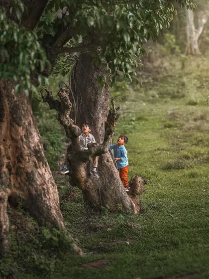 I love capturing the wild, wonderful chaos of childhood. These are the real, in-between moments: the explorations, the discoveries, and the pure joy of being a kid. This is a page from their storybook, a memory of a day spent climbing trees and searching for monkeys.