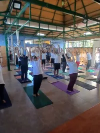 Yoga Teacher Training Program