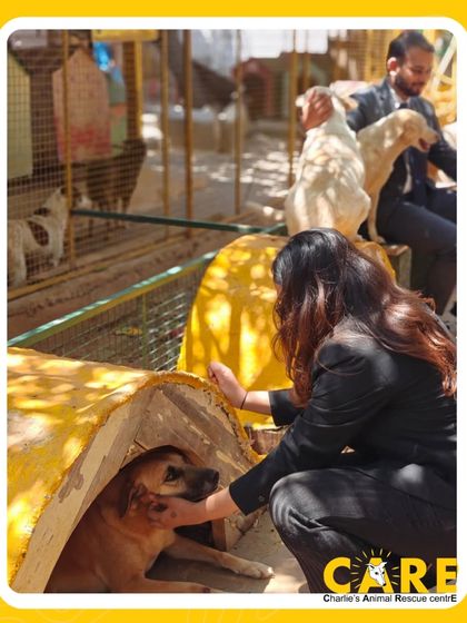 Charlie's Animal Rescue Centre - Community Outreach & Education The Power of Partnership: Corporate & Community Support photo 12