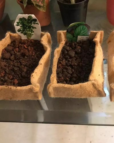 Vegetable Gardens