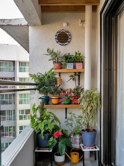 A lush and vibrant balcony garden. Multiple shelves and stands are used to display a variety of plants in colorful pots, turning this small outdoor space into a thriving green nursery.
