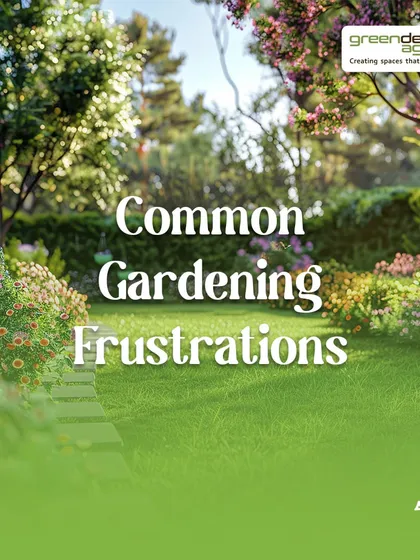 We understand common gardening frustrations. Our services are designed to solve these problems and help you enjoy a beautiful, hassle free garden.