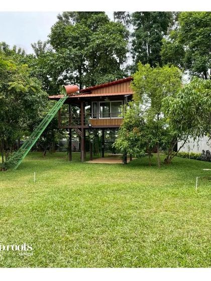 Neo Roots Design - Landscape Design & Execution Behind the Scenes photo 11