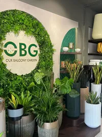 Curated Plant & Planter Sales