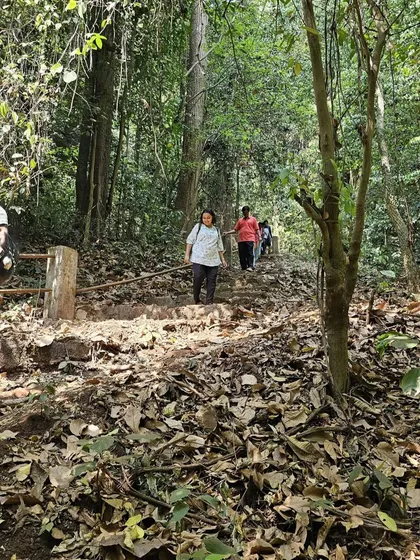 Trekkers walking on a well-defined path through the forest during the dry season.