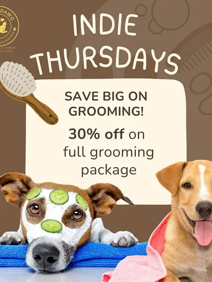 I have a special place in my heart for our Indies. That's why I created 'Indie Thursdays', offering a 30% discount on full grooming packages. It's my way of giving a little extra pampering to these wonderful dogs.