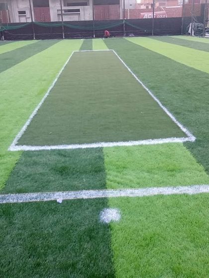 Professional Sports Turf photo 14