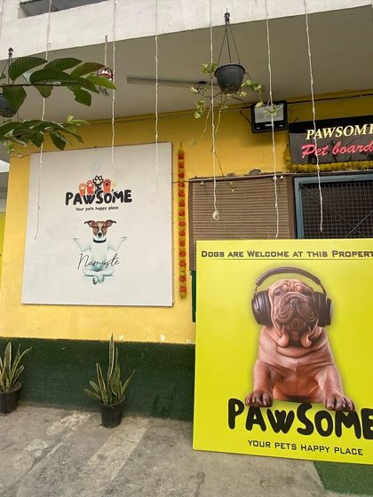 Our branding and signage make it clear: this is your pet's happy place. Dogs are always welcome here.