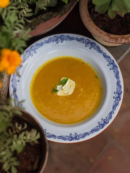 A beautifully composed shot of a pureed vegetable soup, enjoyed on our garden terrace.