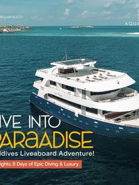 Liveaboard Ocean Holidays