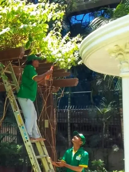 Our professional mali team is the backbone of our landscape maintenance service. Here they are in uniform, expertly pruning and caring for a large residential garden, ensuring it stays healthy and beautiful year-round.