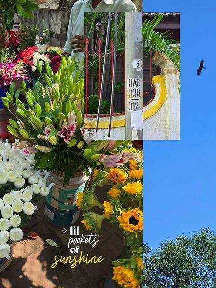A collage of sunny yellow moments, including a street flower stall and a detail of a painted wall.