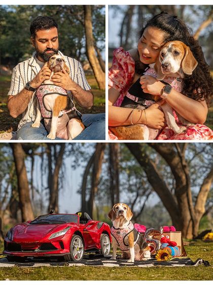 A collage celebrating Rrari the beagle's 5th birthday. Despite her cancer diagnosis, the day was filled with love, cuddles, and a fantastic Ferrari-themed setup.