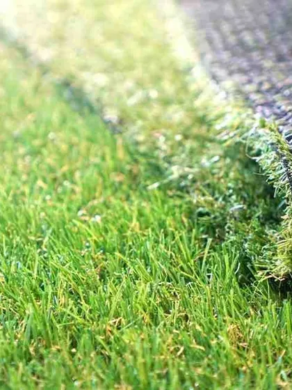 A close-up view of a roll of my premium artificial turf, showing the dense, multi-toned green blades and the durable black backing. This demonstrates the high quality and realistic appearance of the materials I use for all my green wall and lawn installations.