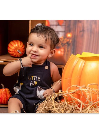 A cheeky grin from a little pup in a pumpkin patch. This photo captures a playful and adorable moment during our autumn-themed shoot.