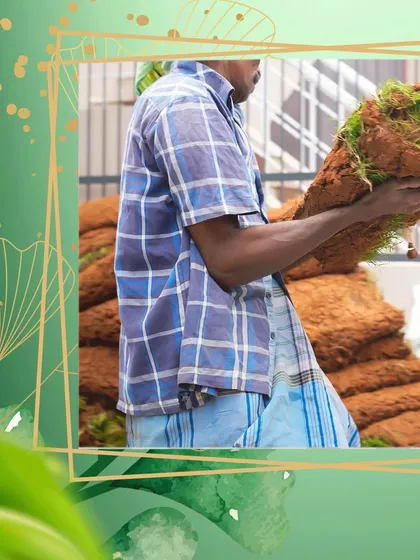 A worker carries a roll of fresh turf, ready for installation. This is a key part of our lawn creation and restoration services.
