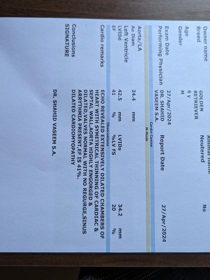 PL Paws - Animal Rescue & Rehabilitation How Your Donations Help: Our Medical Cases photo 21