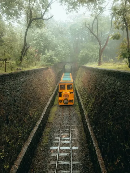 The yellow toy train of SGNP emerges from a tunnel on a misty, atmospheric day. The symmetry of the tracks and tunnel walls creates a beautiful, leading composition.