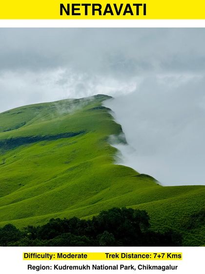 Join us on the famous Netravati trek, a 14 km moderate trail in Kudremukh National Park. It's known for its 'cloud factory' views where you walk amidst the clouds on rolling green hills.