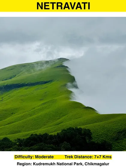 An info card for the Netravati trek, a moderate 14 km trek famous for its views in the Kudremukh National Park.