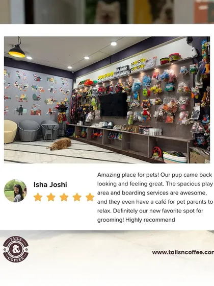 We are so grateful for feedback like this from Isha. It makes us happy to know that our grooming, spacious play area, and pet-friendly cafe all come together to create a favorite spot for pets and their parents.