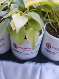 Corporate & Event Gifting