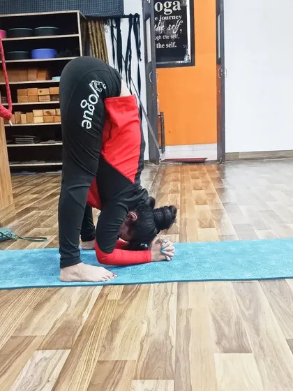 A deep forward fold, Padahastasana, stretches the entire back side of the body. This student demonstrates incredible flexibility, bringing her head to her shins with ease.