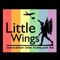 Little Wings Innovation Labs