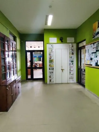 The hallway before our redesign, with jarring colors and a lack of architectural character, feeling more like a generic corridor than part of a historic building.