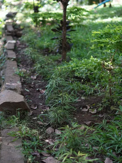 A low stone border defines a planting bed along a rustic path, showing how I work with the natural contours of the land.
