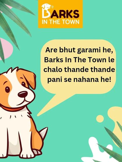 A fun graphic for the summer. A cool bath at our salon is the perfect way to help your pet beat the heat and stay comfortable.