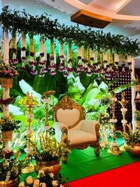 Traditional Ceremony Decoration