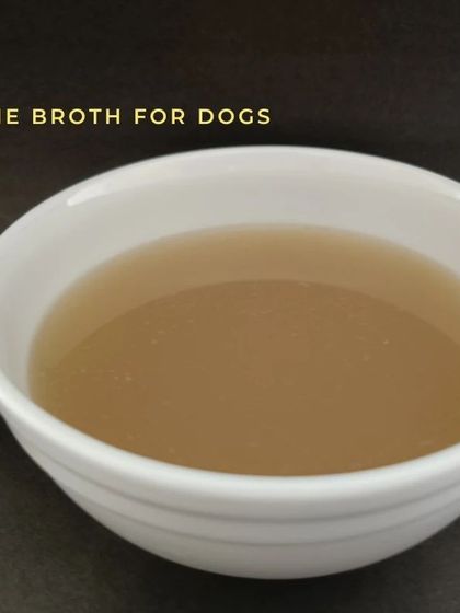 Simple, pure, and nourishing. Our bone broth is a foundational supplement for a healthy canine diet.