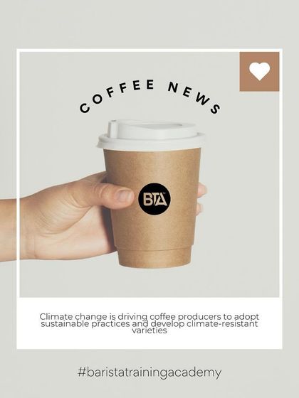 A "Coffee News" graphic about how climate change is driving coffee producers to adopt sustainable practices and develop climate-resistant varieties.