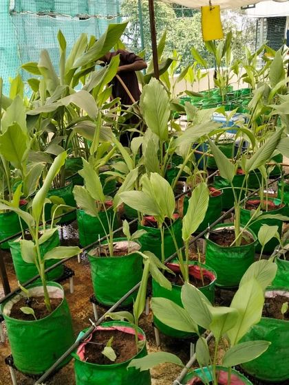 Our Work Process & Maintenance photo 4