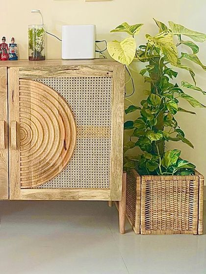 A closer look at the pothos next to a beautiful cane and wood cabinet. The natural textures of the basket and furniture work together to create a warm, bohemian vibe.