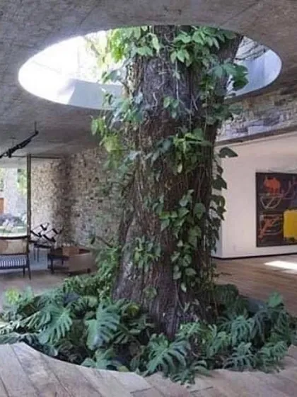 My core belief is that we should build with nature, not against it. This stunning example shows how a mature tree can become the centerpiece of a home, proving that thoughtful design can create a harmonious balance between architecture and the natural world.