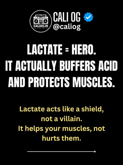 Lactate is the hero, not the villain. It actually acts as a shield, buffering acid and protecting your muscles during intense exercise.